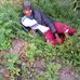 Profile Picture of James Darema (@james.darema.161) on Facebook