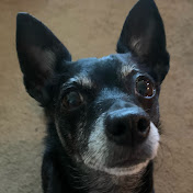 Profile Picture of Andrew Frost (@andrewfrost6827) on Youtube