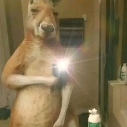 Profile Picture of GEORGE.MAYERS (@mayersmayhua) on Tiktok