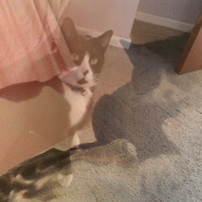 Profile Picture of Chloe Ann Bryant (@ChloeAnn_xx) on Twitter