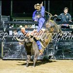 Profile Picture of scott binnie (@binniescott) on Instagram