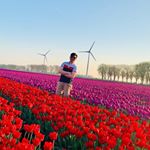 Profile Picture of Basharat Khan (@basharatkhan600) on Instagram