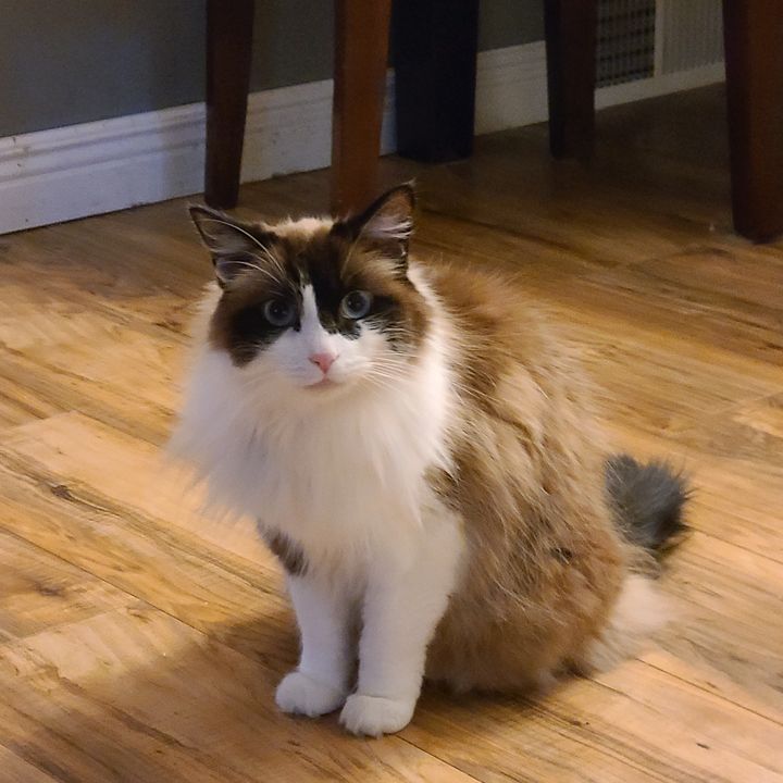 Profile Picture of George black (@@dazedgeo1972) on Tiktok