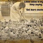 Janelle Perrine - Instagram Profile Picture of Janelle Perrine (@fyshgrll) on Instagram