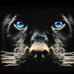 Profile Picture of Thomas Tucker (@thomas.tucker.31586526) on Facebook