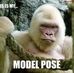 Profile Picture of Matt Wignall (@matt.wignall.7) on Facebook