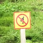 Profile Picture of Not Jacob Golden (@jacob_goldenboi) on Instagram