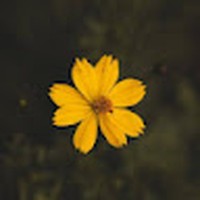 Profile Picture of Doris Suarez (@doris-suarez-18) on Quora