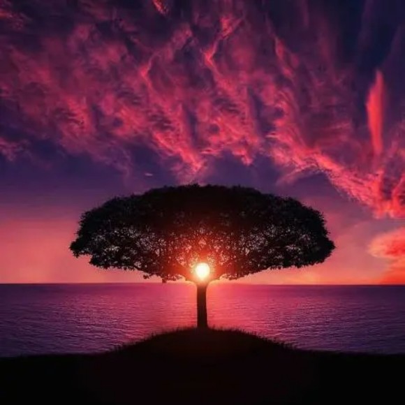 Profile Picture of Jamie Mirabelle (@jamiemirabelle) on Poshmark