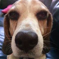 Profile Picture of Corey Hall (@corey.hall.16) on Myspace