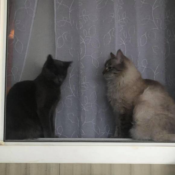 Profile Picture of Kathy Wahlen (@momnhope) on Poshmark