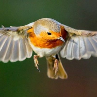 Profile Picture of Mike Wayt (@WaytMike) on Twitter