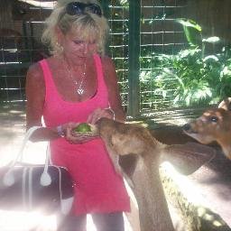 Profile Picture of Jan Lambe (@LambeJan) on Twitter