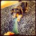 Profile Picture of Denise Boylan (@denise.boylan.96) on Facebook