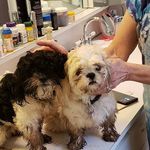 Profile Picture of Jerry Pittman (@jerry.pittman.1690) on Instagram