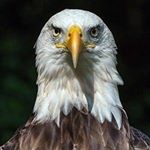 Profile Picture of David Kerlee (@davidkerlee) on Instagram