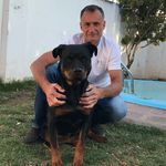 Profile Picture of Jose Luis Piscitello (@piscitellojoseluis) on Instagram