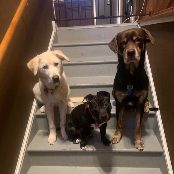 Profile Picture of Natasha Jacoby (@natashajacoby) on Poshmark