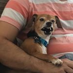 Profile Picture of Jeff McDermott (@jpmcd03) on Instagram