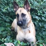 Profile Picture of Trisha Edwards (@trishaedwards83) on Instagram