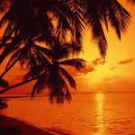 Profile Picture of Philip-Maximilian Schoen (@philip_schoen) on Instagram