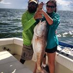 Profile Picture of Donald Barnett (@donaldbarnett1949) on Instagram