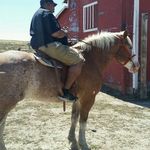 Profile Picture of Chad Lemmers (@landdo634) on Instagram