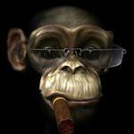 Profile Picture of Tausch Anne-Marie Helene (@tauschannemariehelene) on Instagram