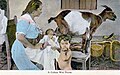 Human–animal breastfeeding - Wikipedia - Wikipedia Profile Picture of Human–animal breastfeeding - Wikipediaon Wikipedia