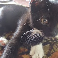 Profile Picture of aprillindemuth996 (@aprillindemuth996) on Tiktok