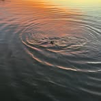 Profile Picture of Kevin Steer (@Kevin-Steer) on Facebook