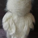 MONTE - Instagram Profile Picture of MONTE (@montebishopwl81) on Instagram