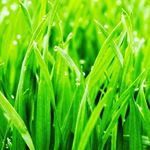 Profile Picture of Joe Reinhardt (@joe_reindhardt) on Instagram