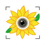 Profile Picture of Valeria Lipian (@valeria lipian photos) on Flickr