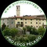 Profile Picture of Pro Loco Pelago (@prolocopelago) on Instagram