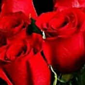 Profile Picture of Amanda Obrien (@amandaobrien7055) on Youtube