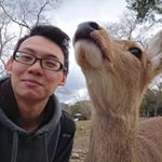 Profile Picture of Calvin Wong (@calwongrj) on Instagram