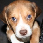 Profile Picture of John Savino (@injohnwetrust1) on Instagram