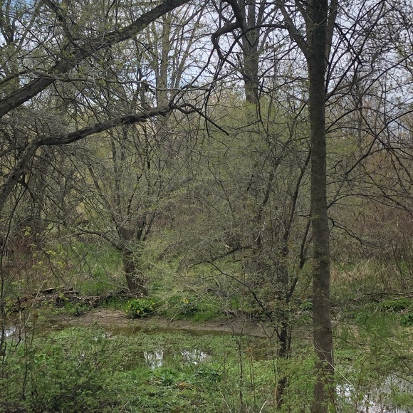 Profile Picture of Moira Mcmahon (@moiramcmahon) on Poshmark