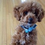 Profile Picture of Buddy Kean (@buddy_kean27) on Instagram