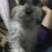 Profile Picture of Maria Josefina Valdez Villarreal (@josephine67_vv) on Pinterest