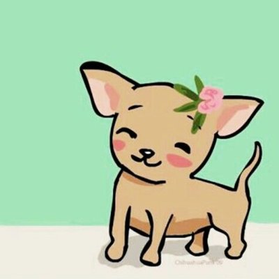 Profile Picture of Gaby Moctezuma  🐩 🐾 🐾 👸 🎄 (@Gabriel25795772) on Twitter