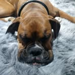 Amy Burghardt - Facebook Profile Picture of Amy Burghardt (@amy.burghardt.1) on Facebook