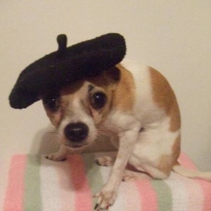 Profile Picture of Thomas Wickstrom (@239488721) on Myspace