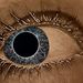 Profile Picture of Kevin Ratay (@kjratayjr) on Pinterest