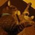 Profile Picture of Cornelious Addison (@cornelious.addison) on Facebook