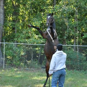 Profile Picture of thad fonfield (@fonfieth) on Pinterest