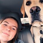 Profile Picture of rachel applegate (@r_apples) on Instagram