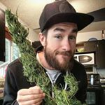 Profile Picture of MARK  HAMILTON (@yag_grow) on Instagram