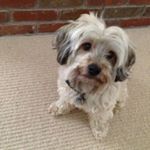 Profile Picture of Paul Twomey (@twomey.paul) on Instagram